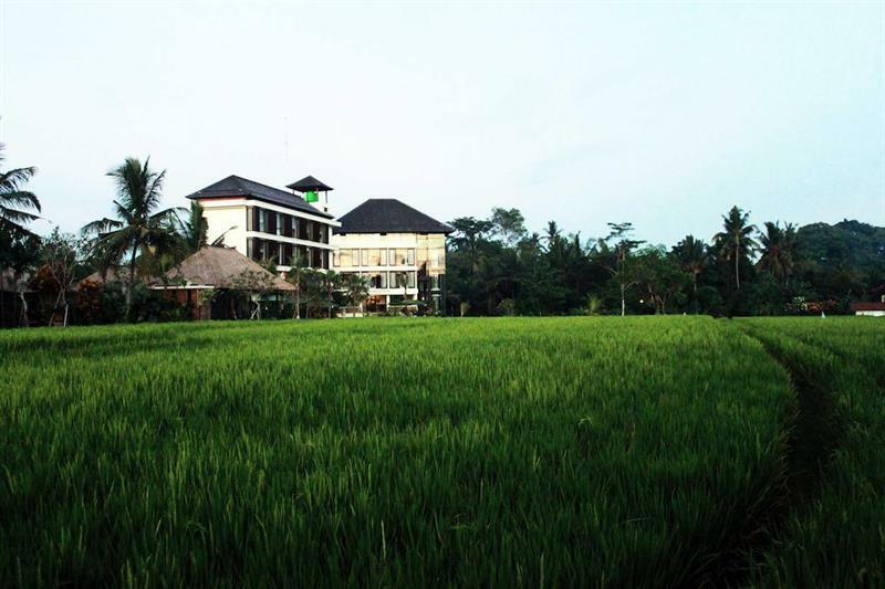 Bening Bungalow Ubud Exterior foto